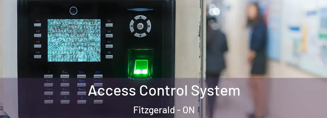  Access Control System Fitzgerald - ON