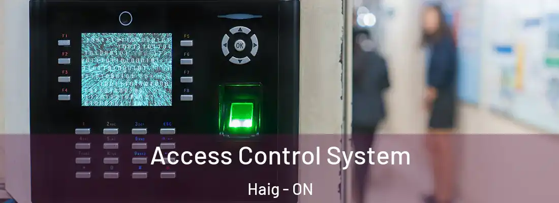  Access Control System Haig - ON