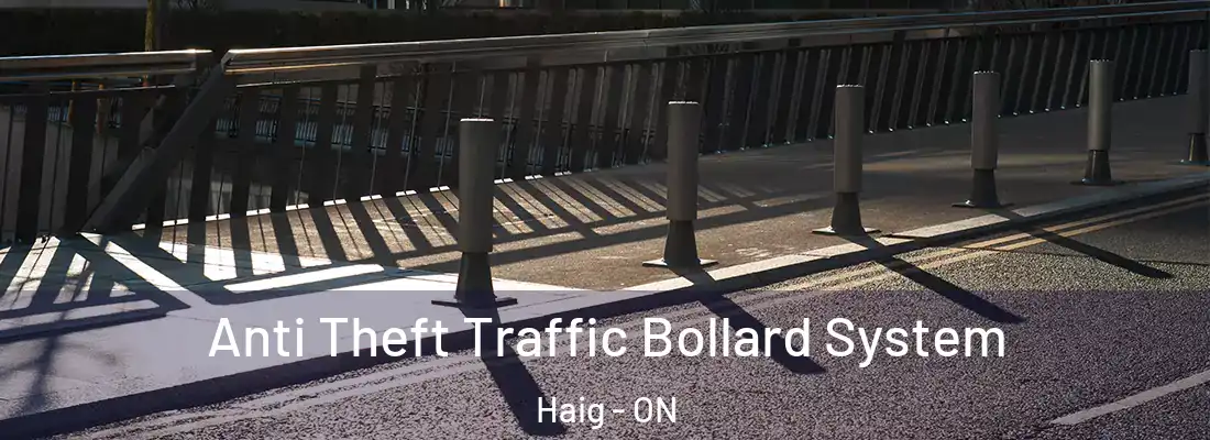  Anti Theft Traffic Bollard System Haig - ON