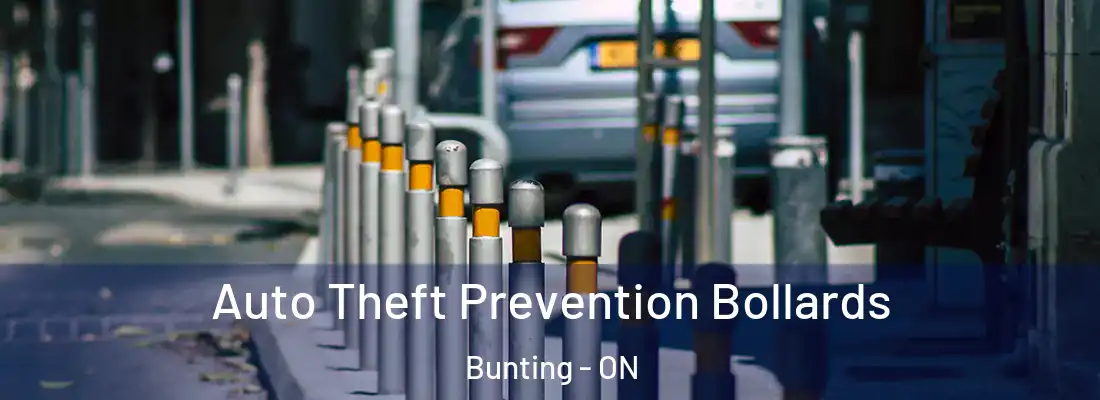  Auto Theft Prevention Bollards Bunting - ON