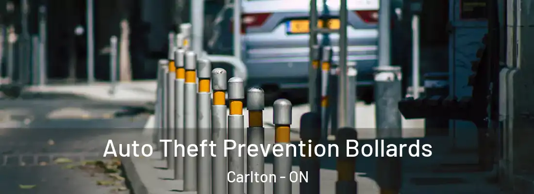  Auto Theft Prevention Bollards Carlton - ON