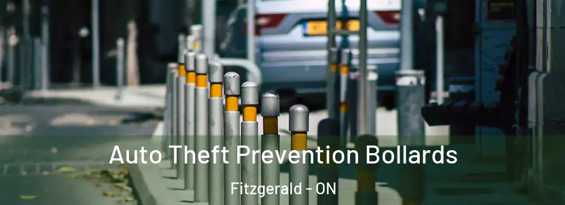  Auto Theft Prevention Bollards Fitzgerald - ON