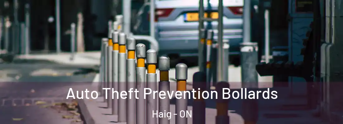  Auto Theft Prevention Bollards Haig - ON