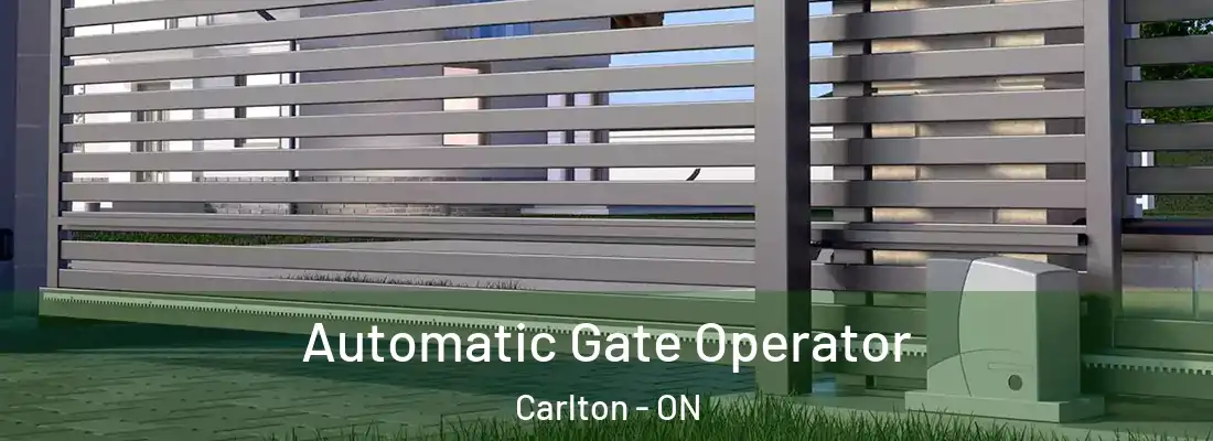  Automatic Gate Operator Carlton - ON