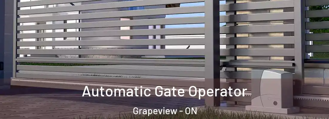  Automatic Gate Operator Grapeview - ON