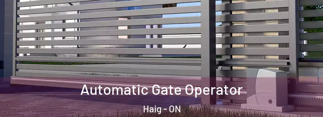  Automatic Gate Operator Haig - ON