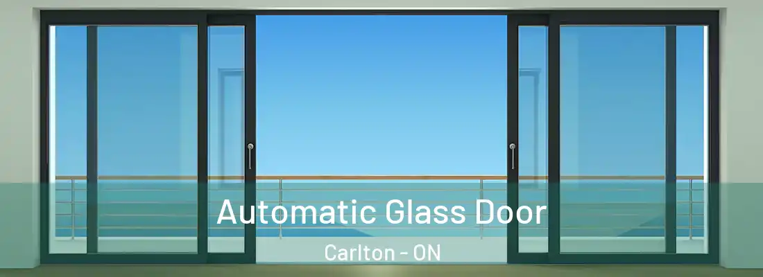 Automatic Glass Door Carlton - ON