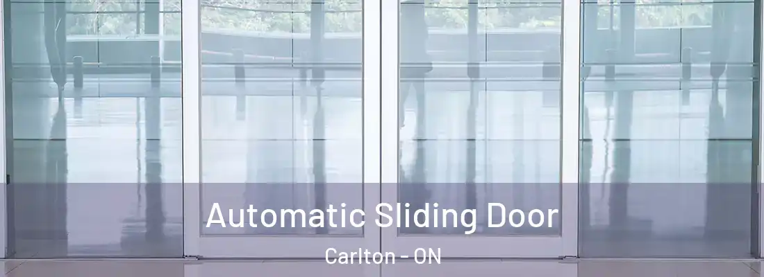  Automatic Sliding Door Carlton - ON