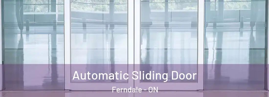  Automatic Sliding Door Ferndale - ON