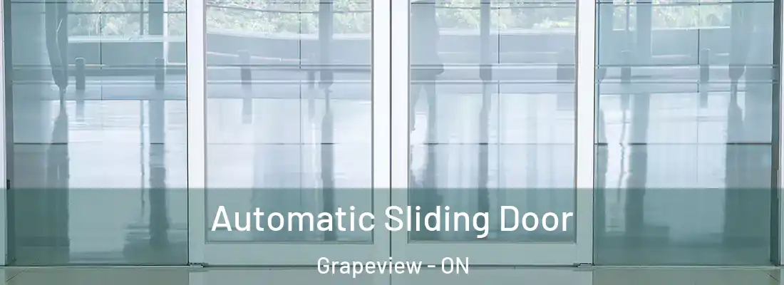  Automatic Sliding Door Grapeview - ON