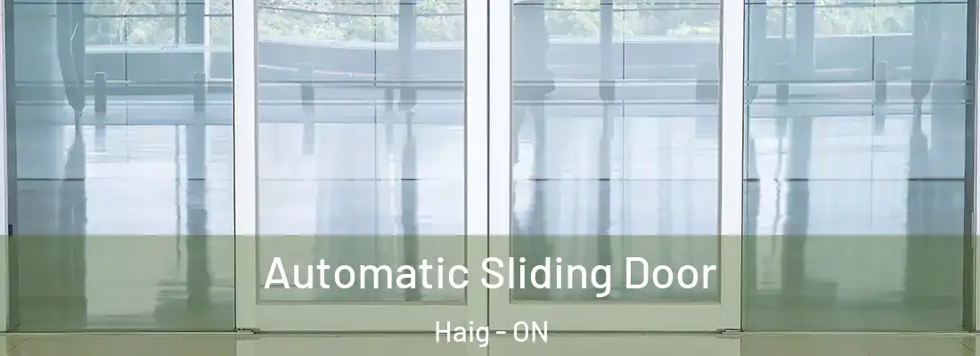  Automatic Sliding Door Haig - ON