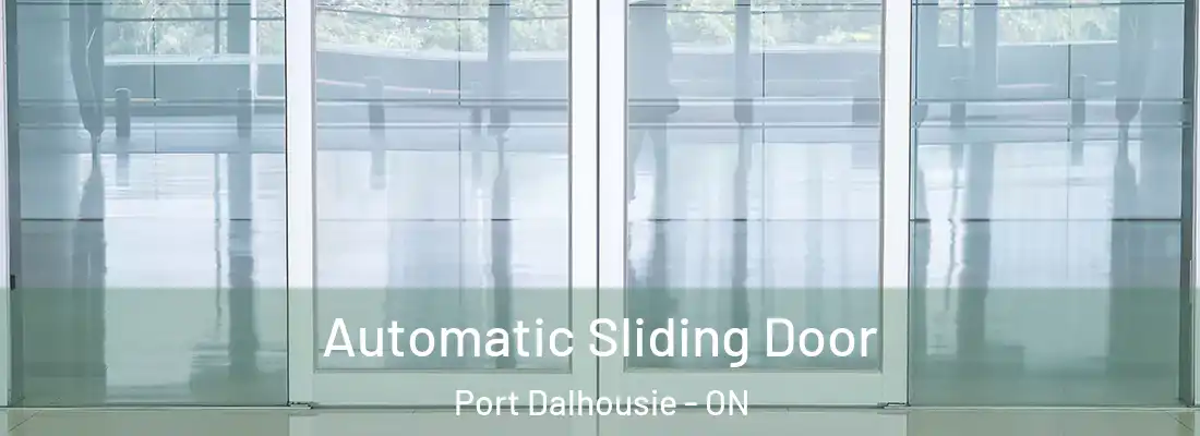  Automatic Sliding Door Port Dalhousie - ON