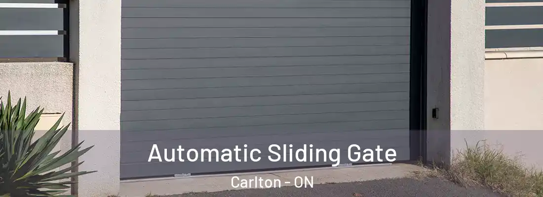  Automatic Sliding Gate Carlton - ON