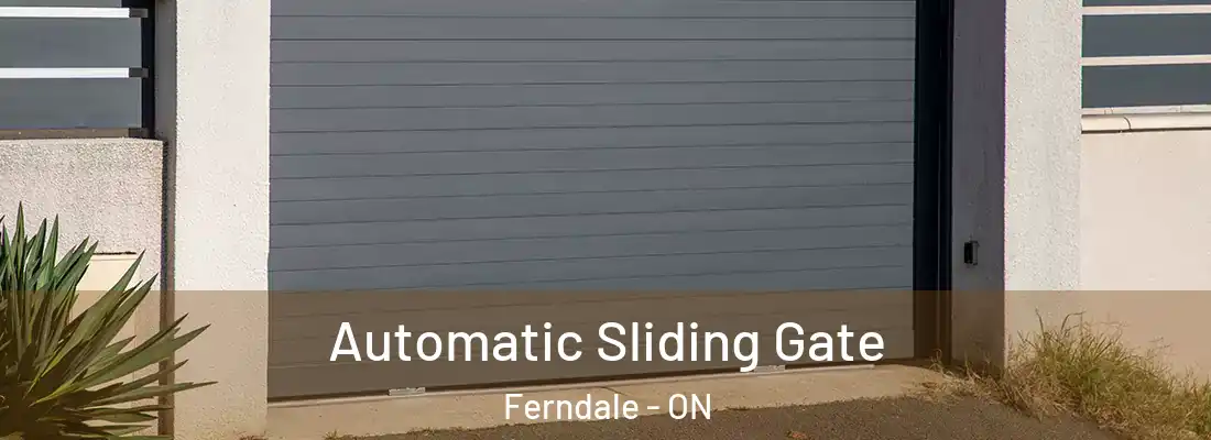  Automatic Sliding Gate Ferndale - ON
