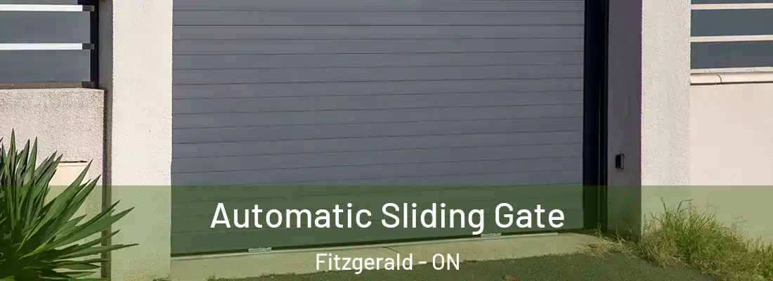  Automatic Sliding Gate Fitzgerald - ON