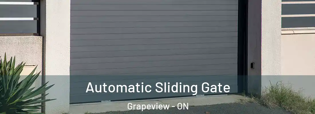  Automatic Sliding Gate Grapeview - ON