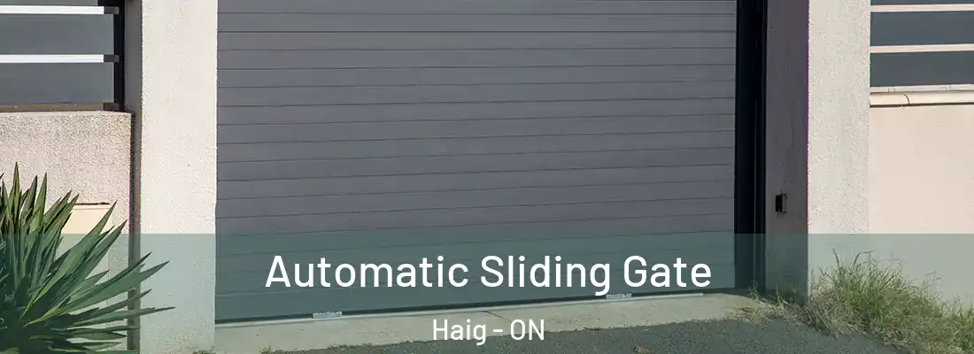  Automatic Sliding Gate Haig - ON