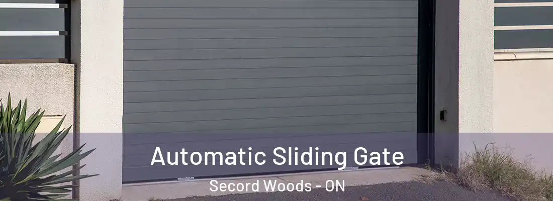  Automatic Sliding Gate Secord Woods - ON