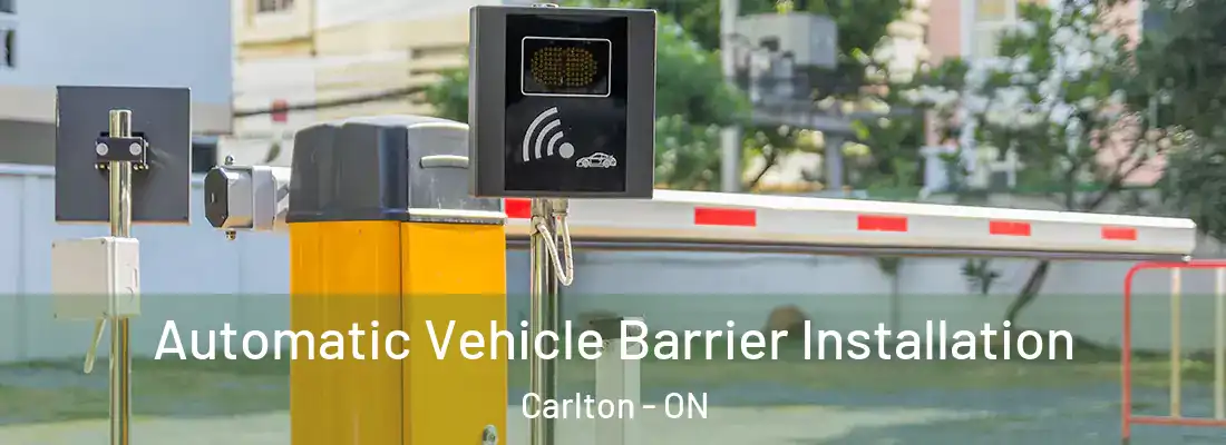  Automatic Vehicle Barrier Installation Carlton - ON
