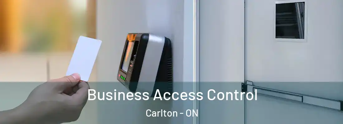  Business Access Control Carlton - ON
