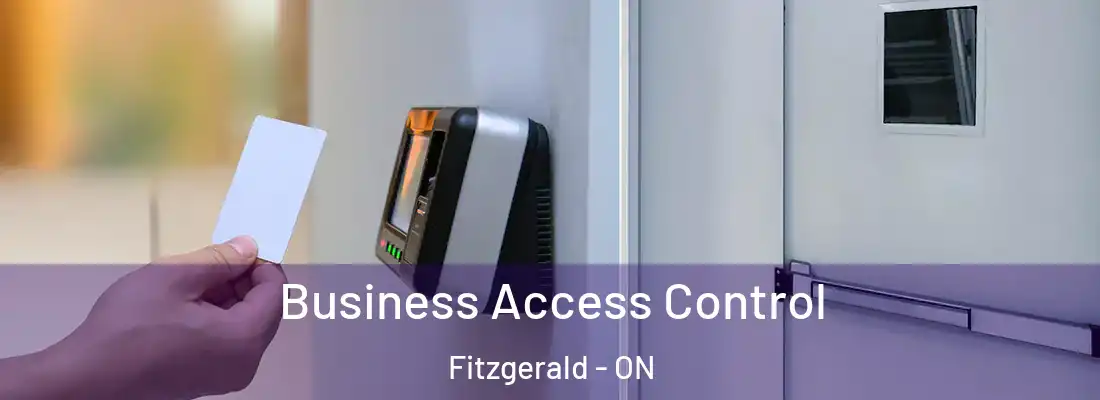  Business Access Control Fitzgerald - ON