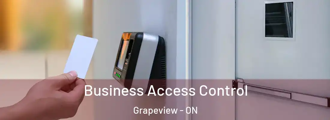  Business Access Control Grapeview - ON