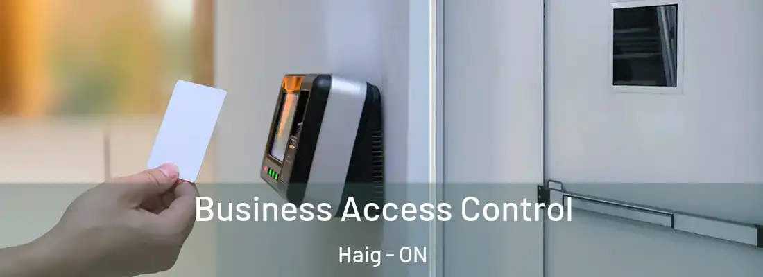  Business Access Control Haig - ON