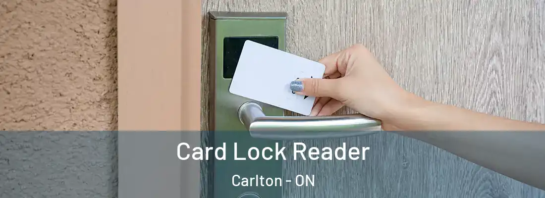  Card Lock Reader Carlton - ON