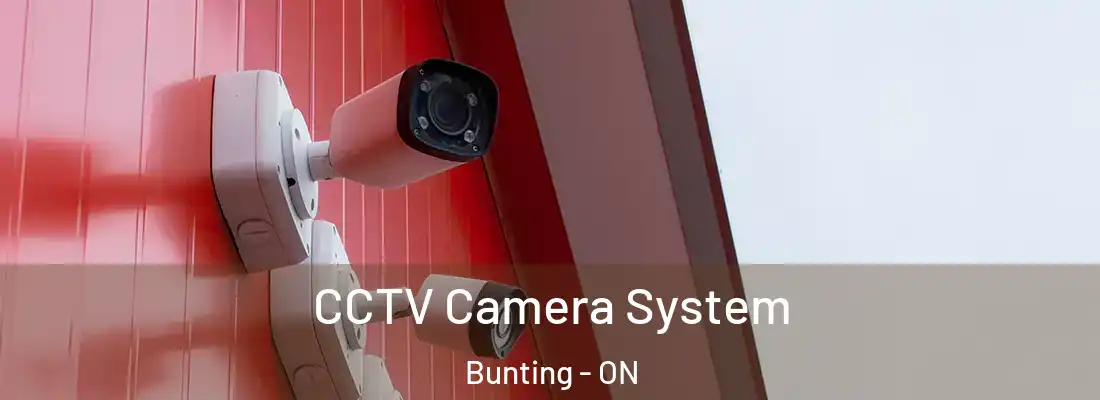  CCTV Camera System Bunting - ON