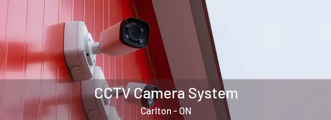  CCTV Camera System Carlton - ON