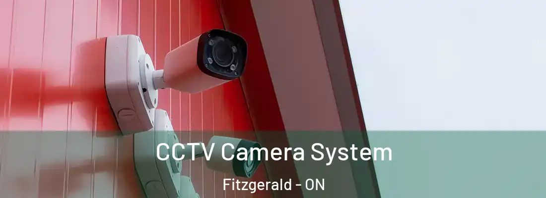  CCTV Camera System Fitzgerald - ON