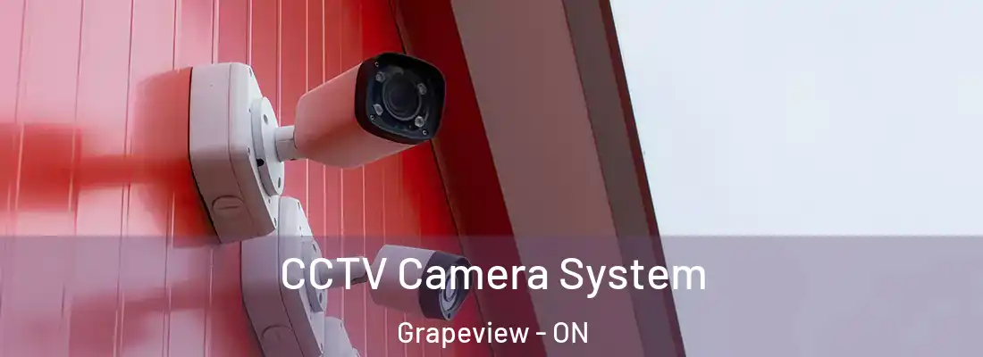  CCTV Camera System Grapeview - ON