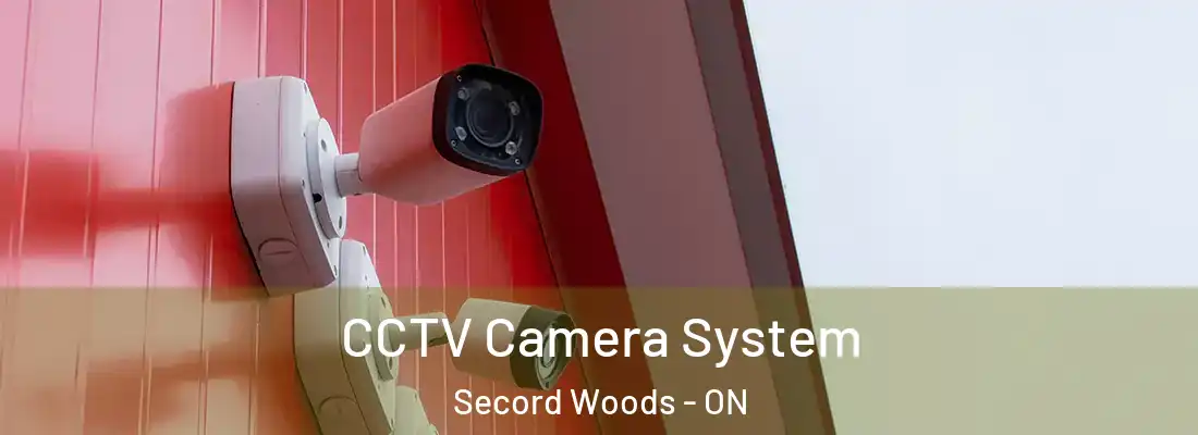  CCTV Camera System Secord Woods - ON