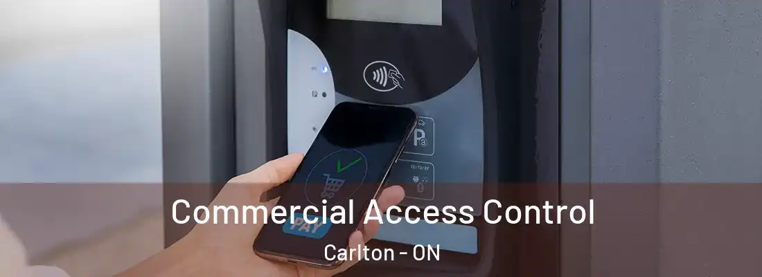  Commercial Access Control Carlton - ON