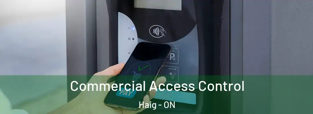  Commercial Access Control Haig - ON