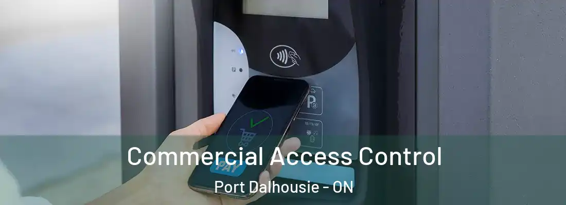  Commercial Access Control Port Dalhousie - ON