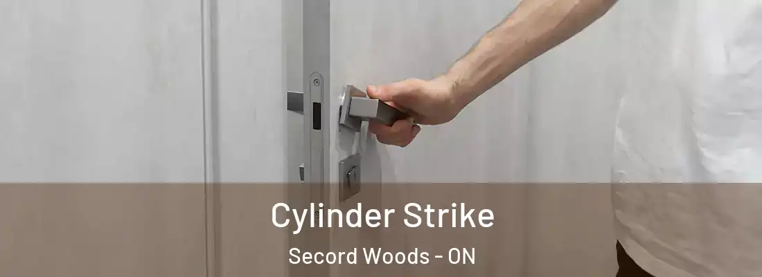  Cylinder Strike Secord Woods - ON