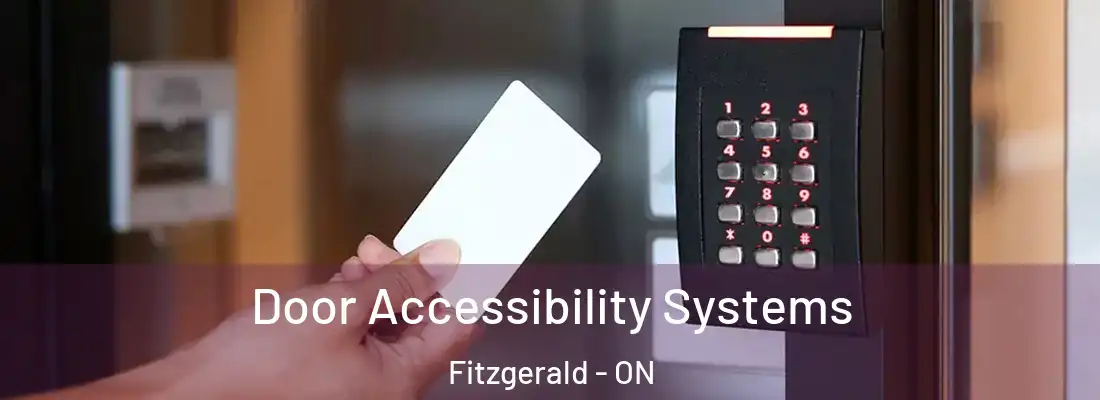  Door Accessibility Systems Fitzgerald - ON