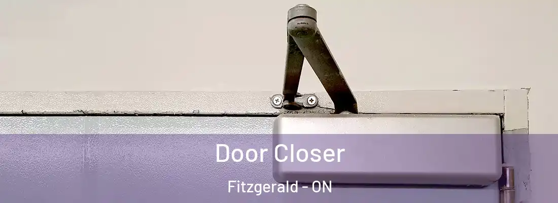  Door Closer Fitzgerald - ON