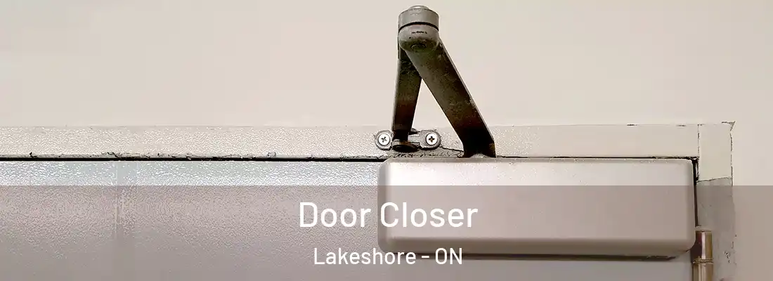  Door Closer Lakeshore - ON