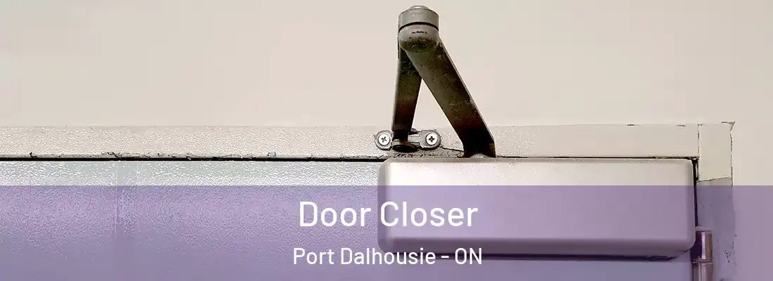  Door Closer Port Dalhousie - ON