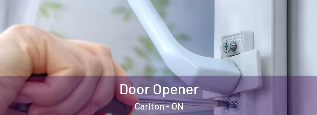  Door Opener Carlton - ON