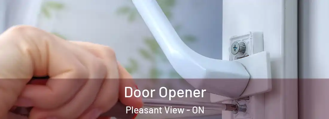  Door Opener Pleasant View - ON