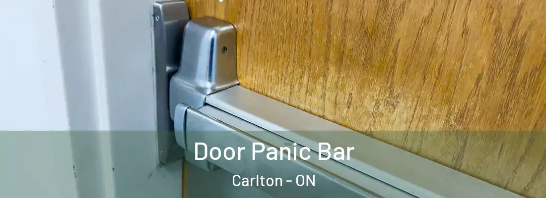  Door Panic Bar Carlton - ON