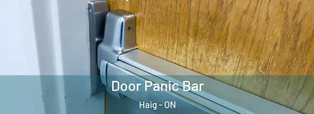  Door Panic Bar Haig - ON