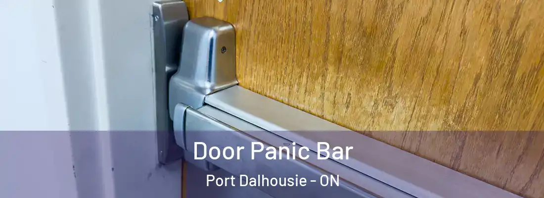  Door Panic Bar Port Dalhousie - ON