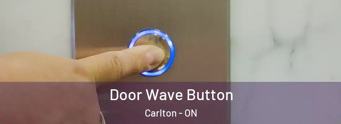  Door Wave Button Carlton - ON