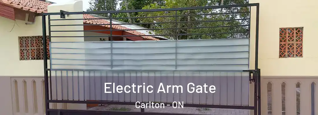  Electric Arm Gate Carlton - ON