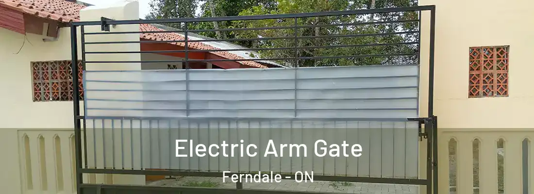  Electric Arm Gate Ferndale - ON
