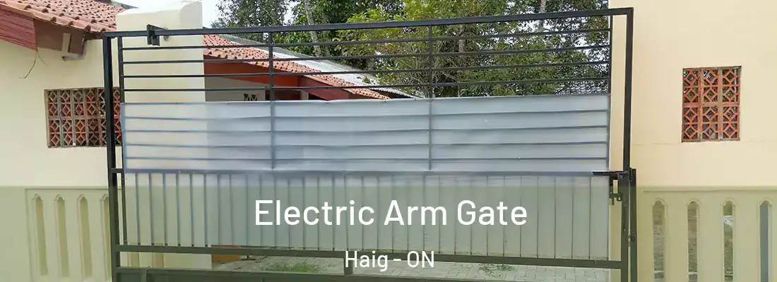  Electric Arm Gate Haig - ON